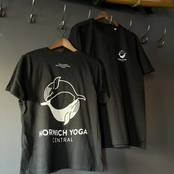 Ladies Fit T-Shirt